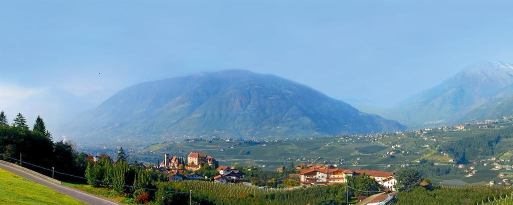 Pension Grafenau Scena Esterno foto